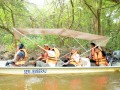 Tn PPTC 309